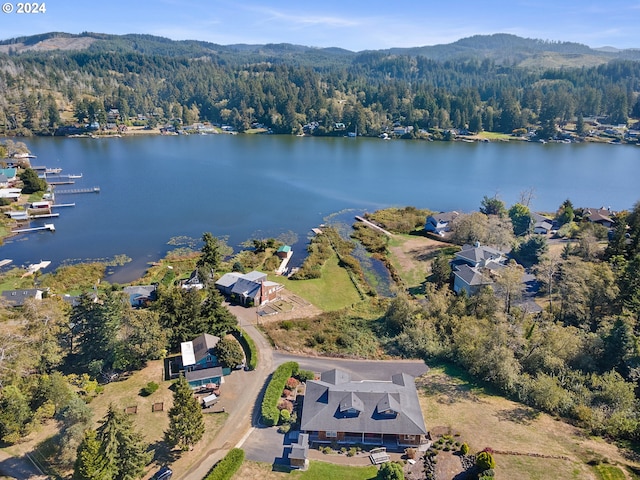 aerial view featuring a water and mountain view