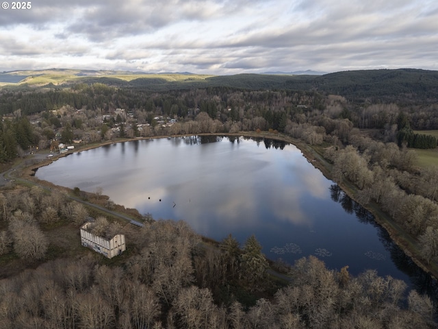 130 E H St, Vernonia, OR 97064 - aerial overview of property's location with a heavily wooded area and a water and mountain view