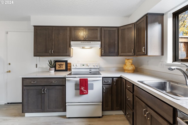 kitchen featuring sink, light hardwood / wood-style flooring, electric range, a textured ceiling, and dark brown cabinets