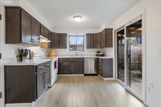 kitchen with electric stove, stainless steel dishwasher, a textured ceiling, dark brown cabinets, and light hardwood / wood-style floors