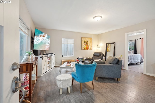 living room featuring dark hardwood / wood-style flooring