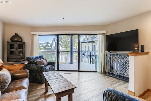 living room featuring wood-type flooring