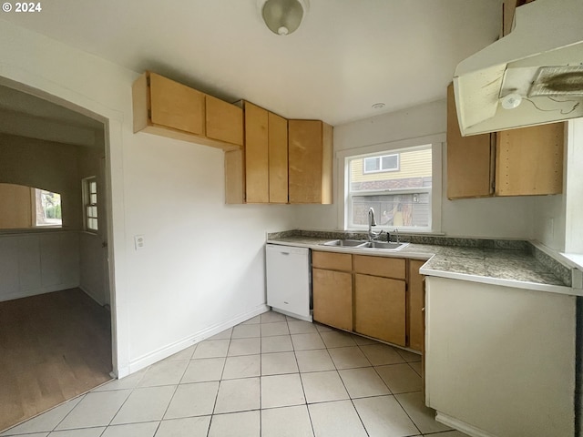 kitchen featuring sink, white dishwasher, a healthy amount of sunlight, and light wood-type flooring