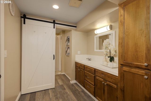 bathroom featuring hardwood / wood-style floors and vanity