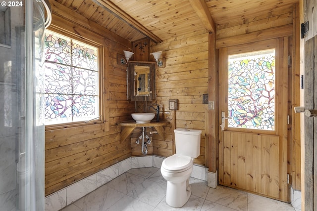 bathroom with toilet, wood ceiling, sink, and a wealth of natural light