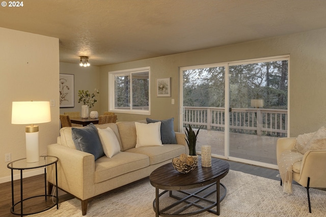 living room with hardwood / wood-style flooring and a textured ceiling