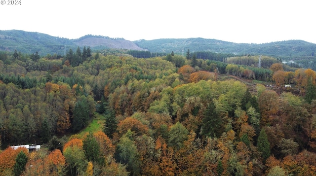 view of mountain background with a forest