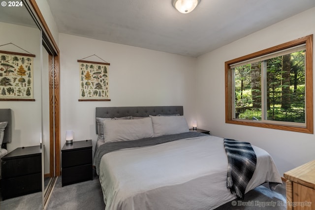 carpeted bedroom with a closet