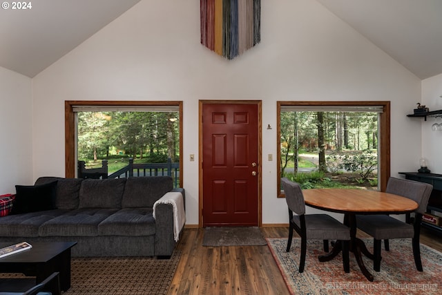 living room featuring dark wood-type flooring and high vaulted ceiling