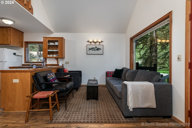 living room with lofted ceiling, sink, and hardwood / wood-style flooring