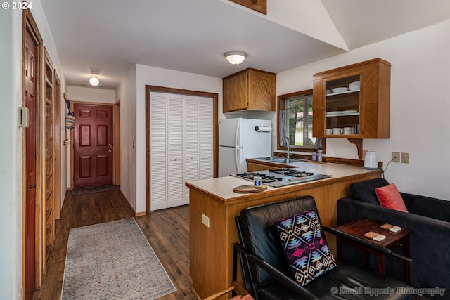 kitchen featuring dark wood-type flooring, sink, white refrigerator, kitchen peninsula, and stainless steel gas stovetop