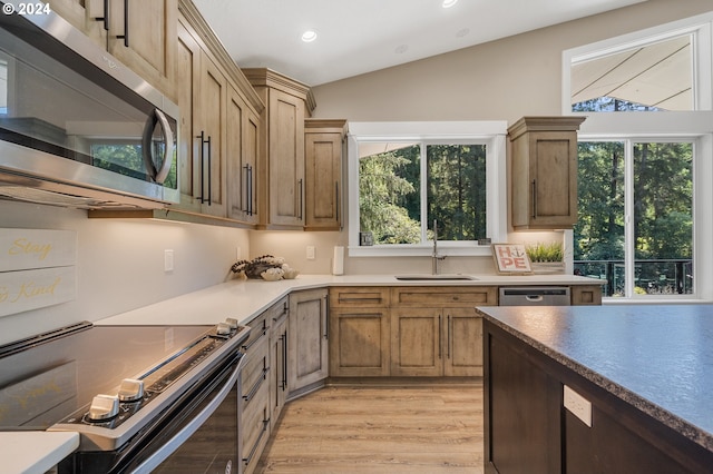 kitchen featuring vaulted ceiling, appliances with stainless steel finishes, sink, and plenty of natural light