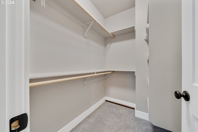 walk in closet featuring carpet