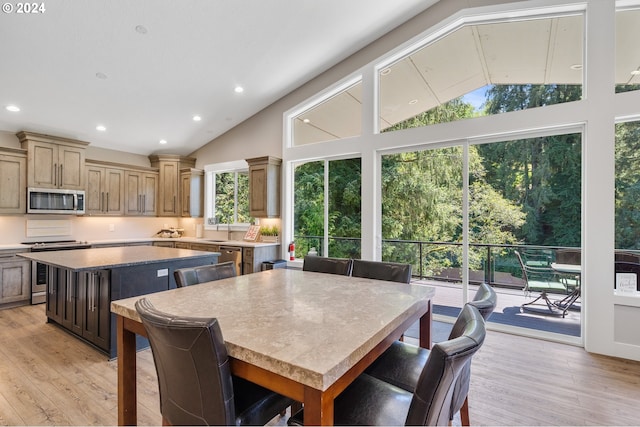 dining space featuring lofted ceiling, sink, and light hardwood / wood-style flooring