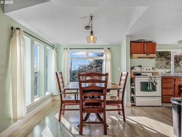 740 Florence Ave, Astoria, OR 97103 - dining room with light wood-type flooring, a textured ceiling, and baseboards