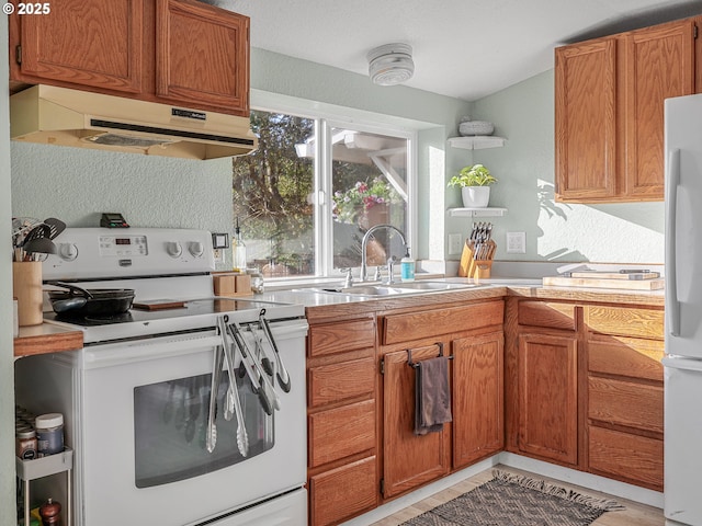 740 Florence Ave, Astoria, OR 97103 - kitchen with white appliances, under cabinet range hood, a sink, light countertops, and brown cabinets