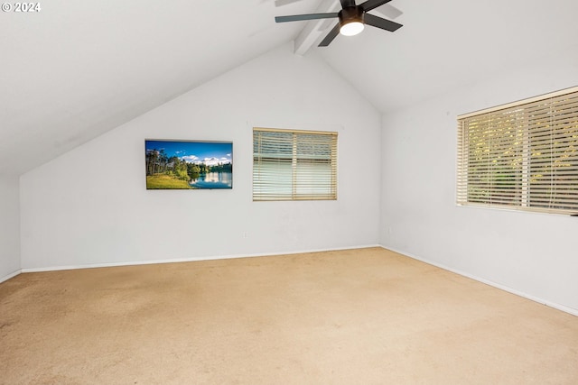 bonus room featuring ceiling fan, vaulted ceiling with beams, and carpet floors