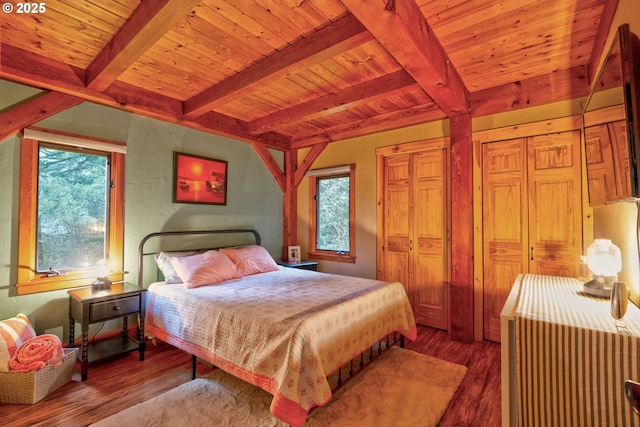 bedroom featuring wood-type flooring, multiple windows, and beamed ceiling