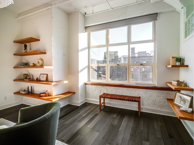 living area with a wealth of natural light, dark wood-style floors, a view of city, and baseboards