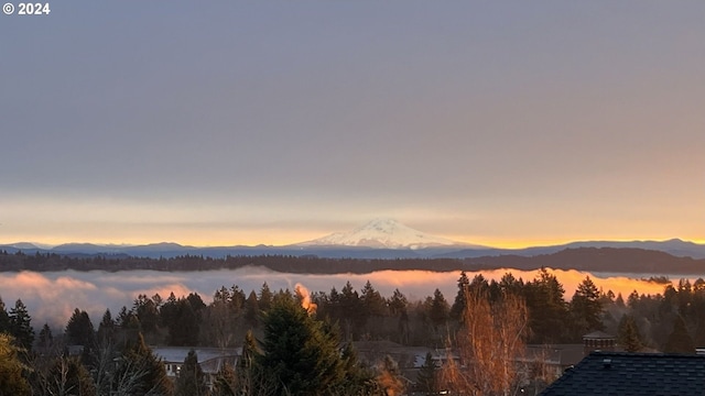 property view of water with a mountain view