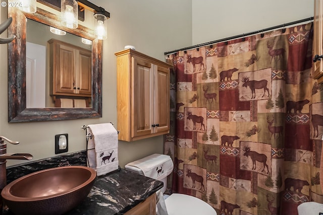 bathroom featuring sink, toilet, and a shower with shower curtain