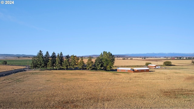 view of yard with a rural view