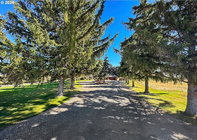 view of street