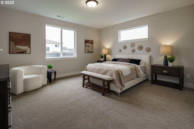 carpeted bedroom with multiple windows