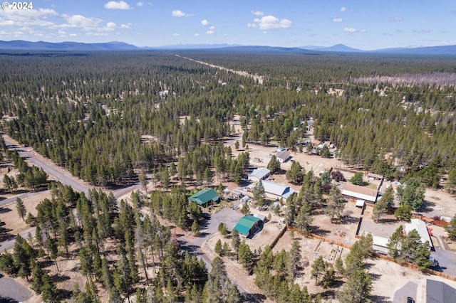 bird's eye view with a mountain view