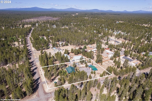 bird's eye view with a mountain view