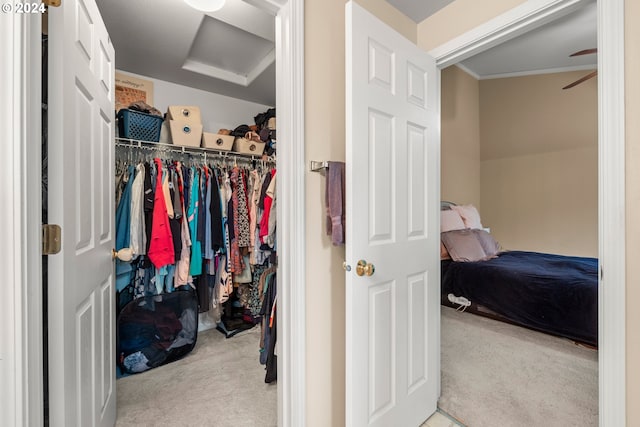 walk in closet featuring light colored carpet and ceiling fan