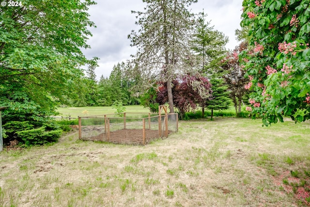 view of yard featuring a rural view