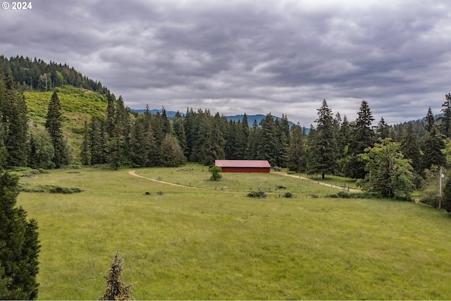 view of yard featuring a rural view