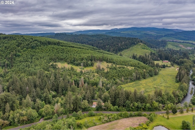 42681 Island Inn Dr, Lebanon, OR 97355 - drone / aerial view of a forest and mountains