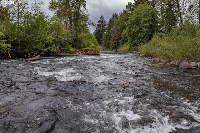 42681 Island Inn Dr, Lebanon, OR 97355 - water view featuring a heavily wooded area