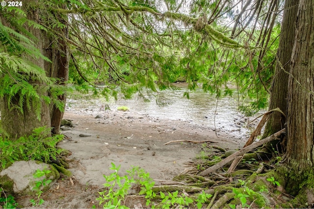 view of local wilderness featuring a water view