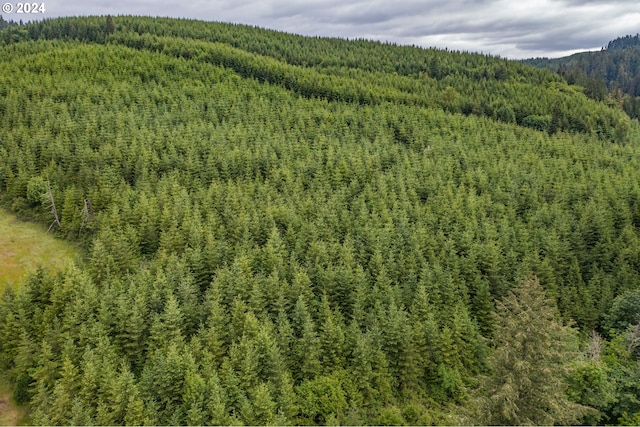 42681 Island Inn Dr, Lebanon, OR 97355 - drone / aerial view of a forest and mountains