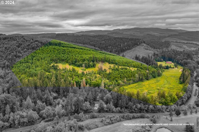 42681 Island Inn Dr, Lebanon, OR 97355 - view of mountain backdrop featuring a forest