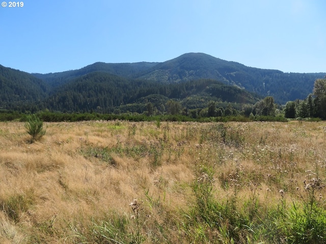 295 River Ranch Rd, Randle WA, 98377 land for sale