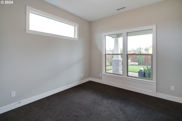 spare room with a healthy amount of sunlight and carpet flooring