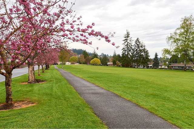view of community with a lawn