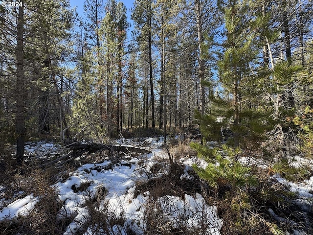 Cloudcap Dr Lot 14, Chiloquin, OR 97624
