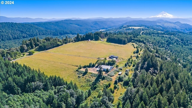 drone / aerial view with a mountain view