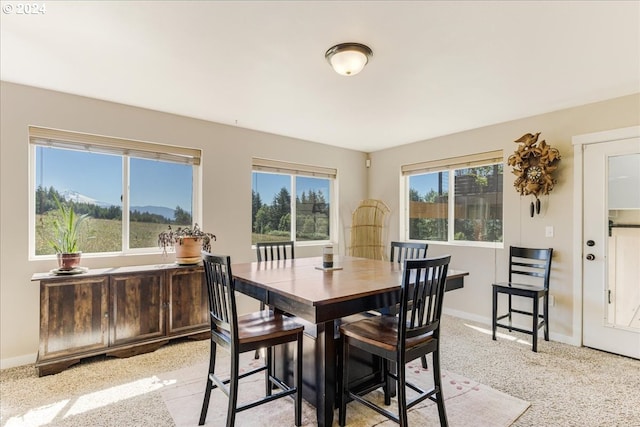 view of dining room