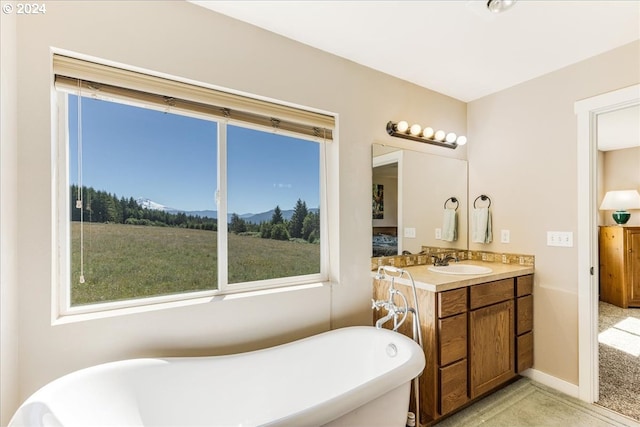 bathroom with a bathing tub and vanity