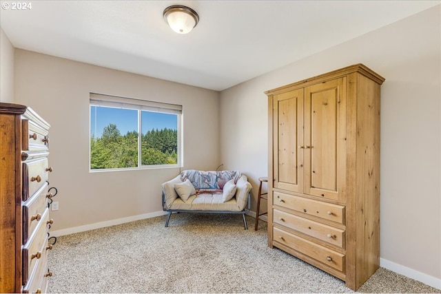 sitting room featuring light carpet