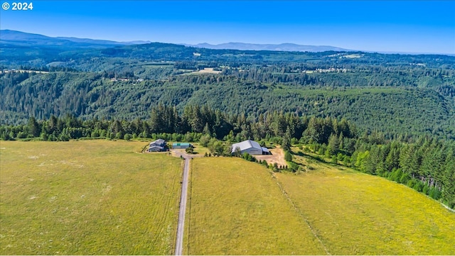 birds eye view of property featuring a mountain view