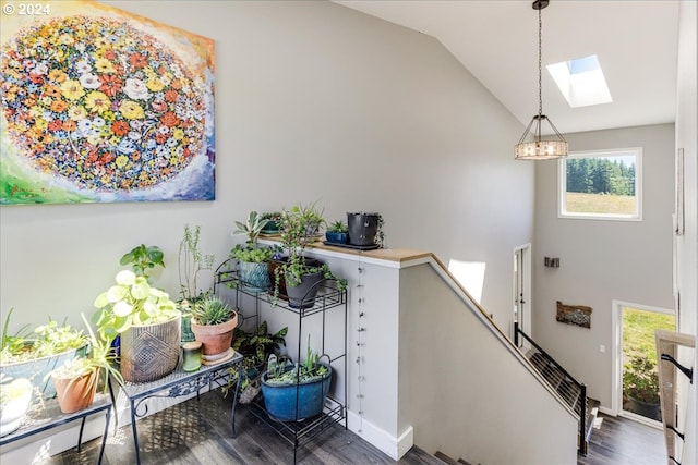 interior space with lofted ceiling with skylight and dark wood-type flooring