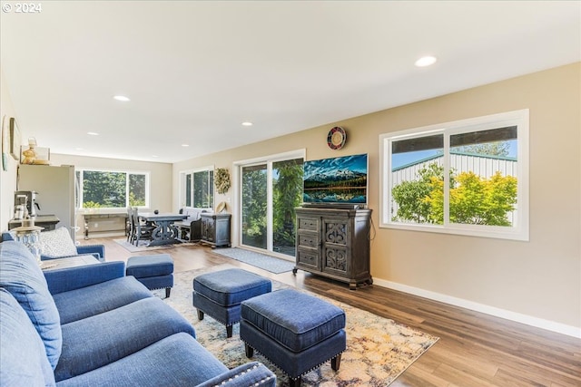 living room featuring wood-type flooring