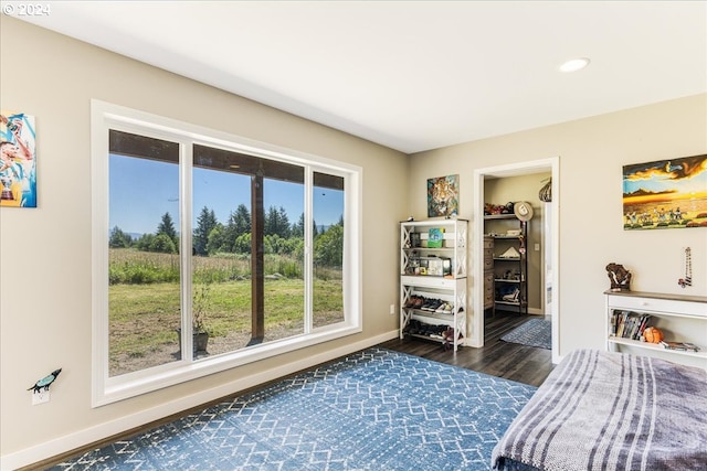 bedroom featuring dark hardwood / wood-style floors